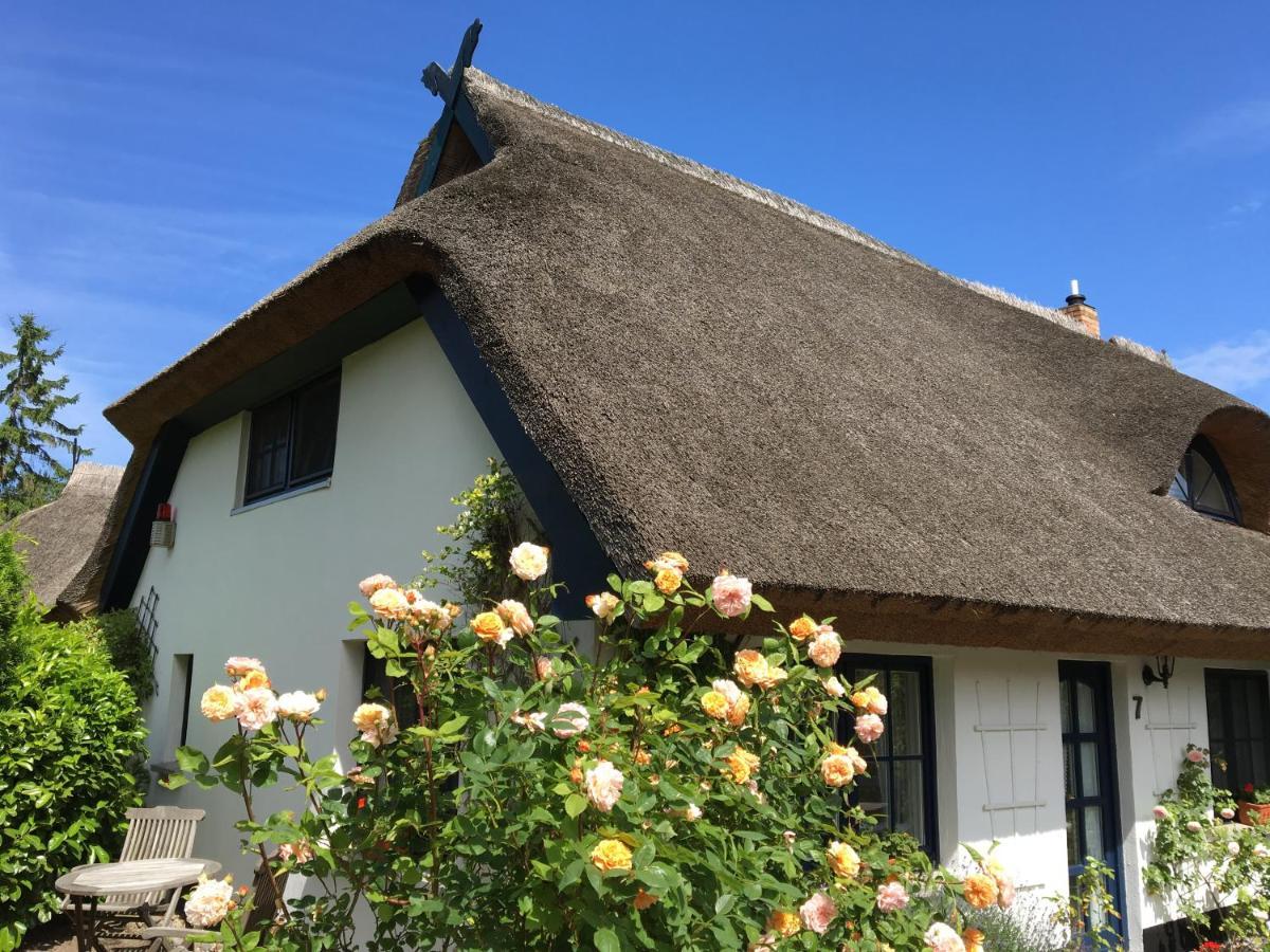 Landhaus Darss Wieck Exterior foto