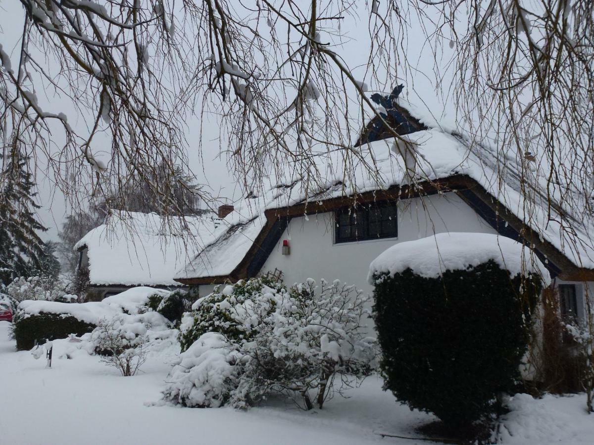 Landhaus Darss Wieck Exterior foto